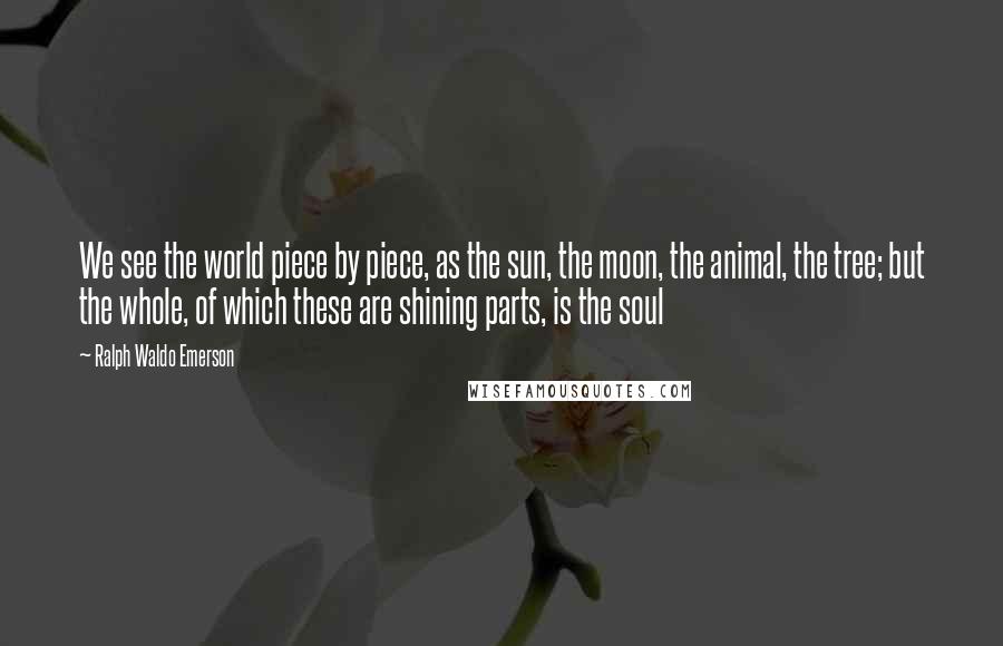 Ralph Waldo Emerson Quotes: We see the world piece by piece, as the sun, the moon, the animal, the tree; but the whole, of which these are shining parts, is the soul