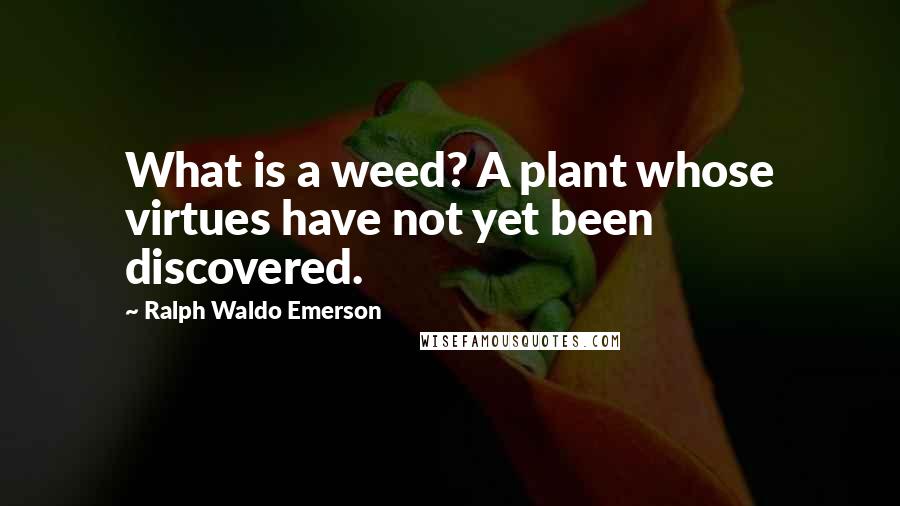 Ralph Waldo Emerson Quotes: What is a weed? A plant whose virtues have not yet been discovered.