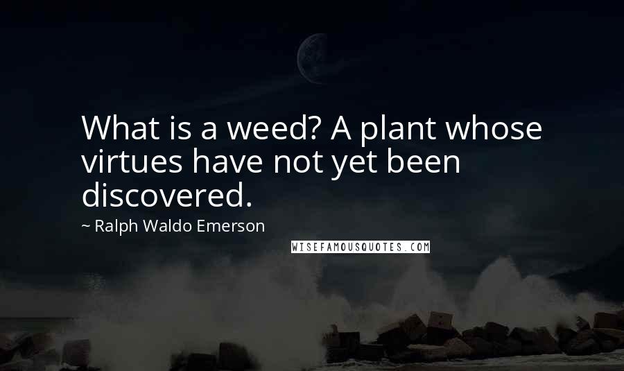 Ralph Waldo Emerson Quotes: What is a weed? A plant whose virtues have not yet been discovered.