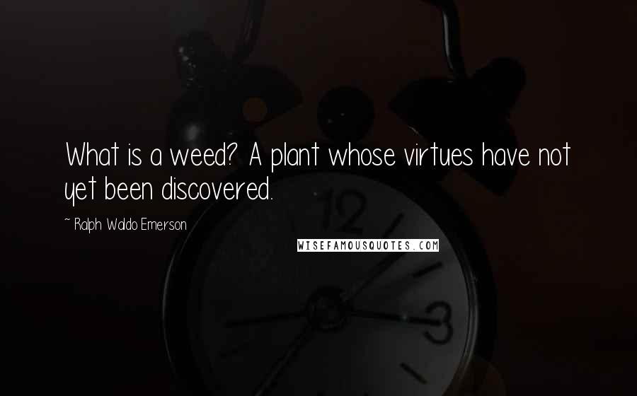 Ralph Waldo Emerson Quotes: What is a weed? A plant whose virtues have not yet been discovered.