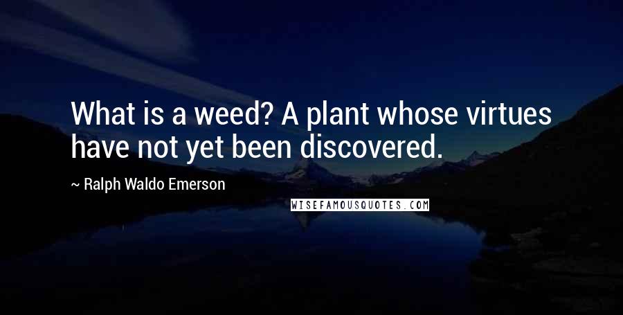 Ralph Waldo Emerson Quotes: What is a weed? A plant whose virtues have not yet been discovered.