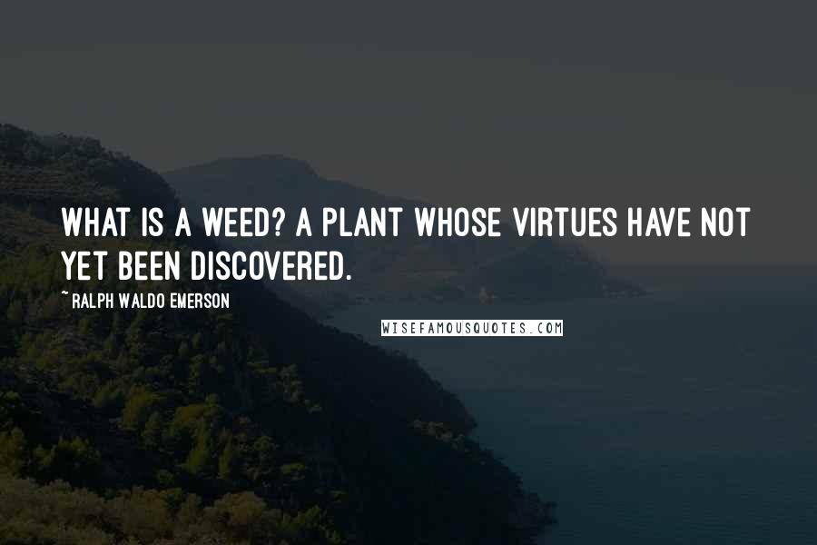Ralph Waldo Emerson Quotes: What is a weed? A plant whose virtues have not yet been discovered.