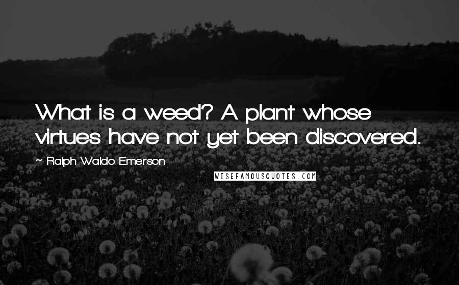 Ralph Waldo Emerson Quotes: What is a weed? A plant whose virtues have not yet been discovered.