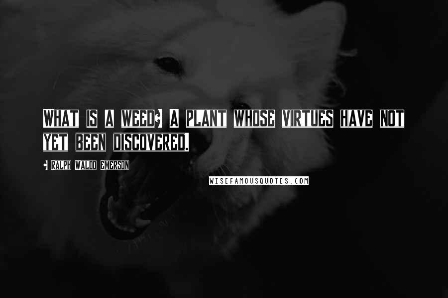 Ralph Waldo Emerson Quotes: What is a weed? A plant whose virtues have not yet been discovered.