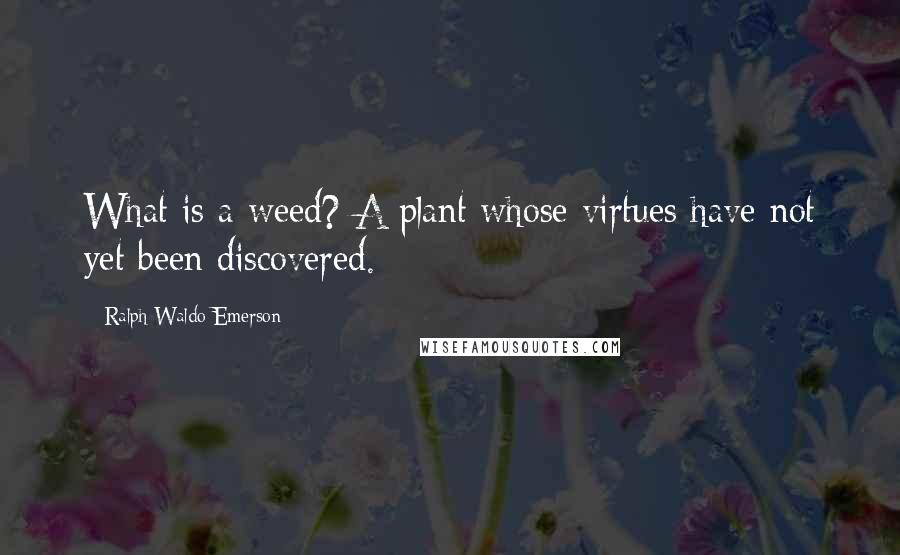 Ralph Waldo Emerson Quotes: What is a weed? A plant whose virtues have not yet been discovered.