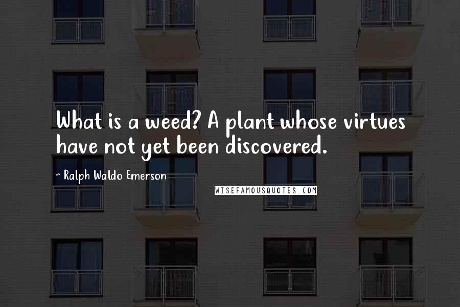 Ralph Waldo Emerson Quotes: What is a weed? A plant whose virtues have not yet been discovered.