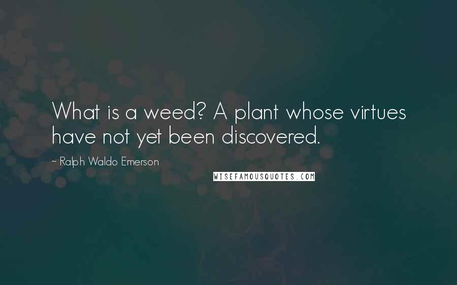 Ralph Waldo Emerson Quotes: What is a weed? A plant whose virtues have not yet been discovered.