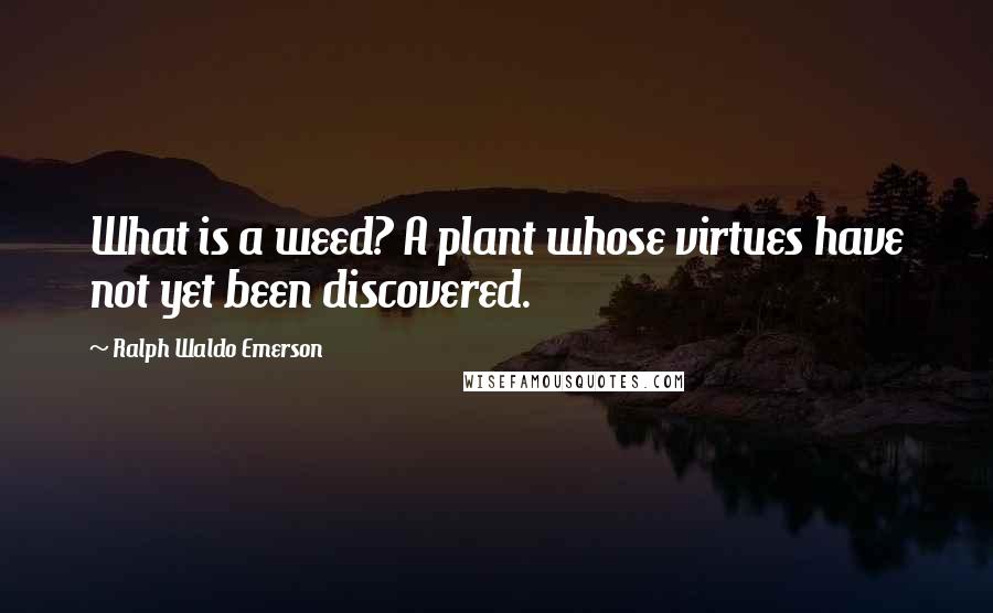 Ralph Waldo Emerson Quotes: What is a weed? A plant whose virtues have not yet been discovered.