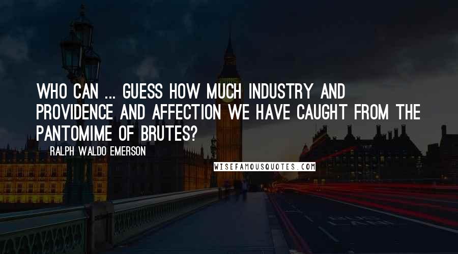 Ralph Waldo Emerson Quotes: Who can ... guess how much industry and providence and affection we have caught from the pantomime of brutes?