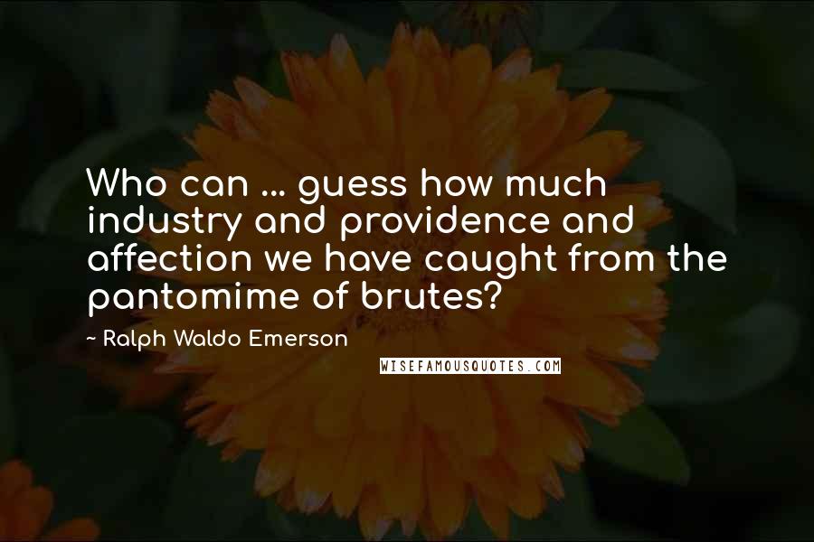 Ralph Waldo Emerson Quotes: Who can ... guess how much industry and providence and affection we have caught from the pantomime of brutes?