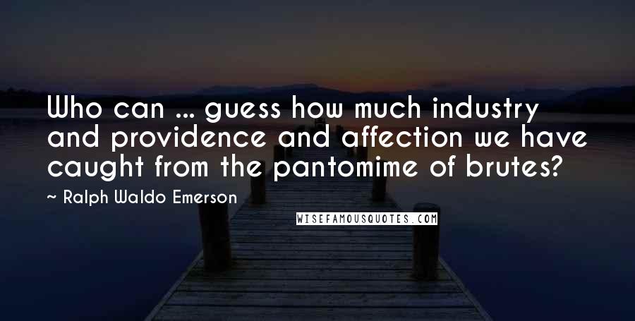 Ralph Waldo Emerson Quotes: Who can ... guess how much industry and providence and affection we have caught from the pantomime of brutes?