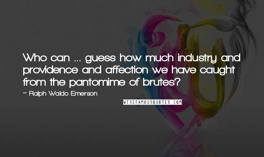 Ralph Waldo Emerson Quotes: Who can ... guess how much industry and providence and affection we have caught from the pantomime of brutes?