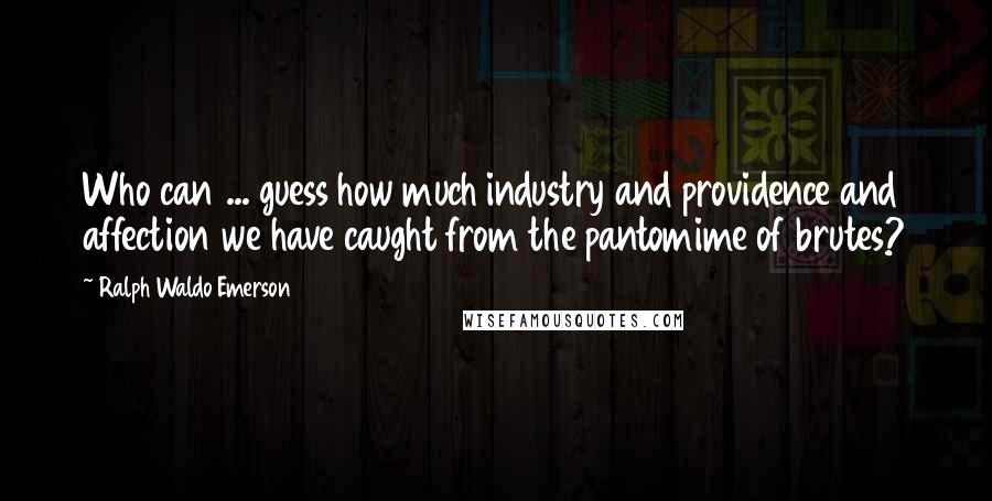 Ralph Waldo Emerson Quotes: Who can ... guess how much industry and providence and affection we have caught from the pantomime of brutes?