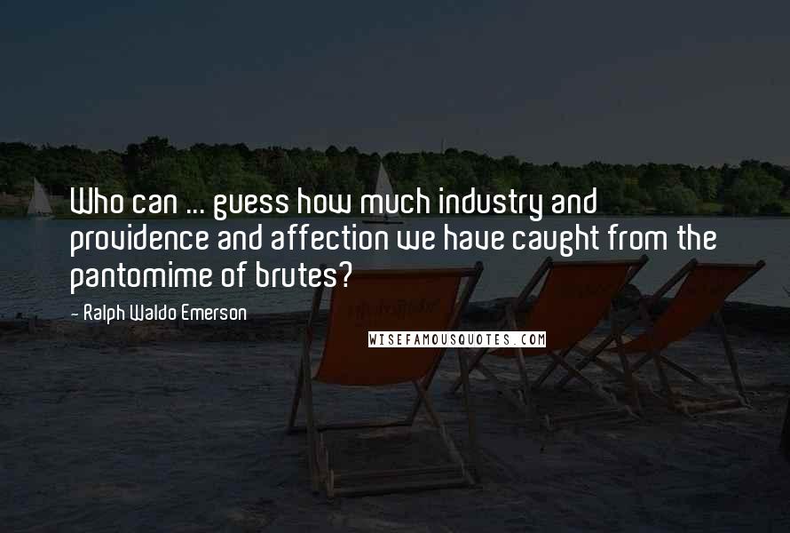 Ralph Waldo Emerson Quotes: Who can ... guess how much industry and providence and affection we have caught from the pantomime of brutes?