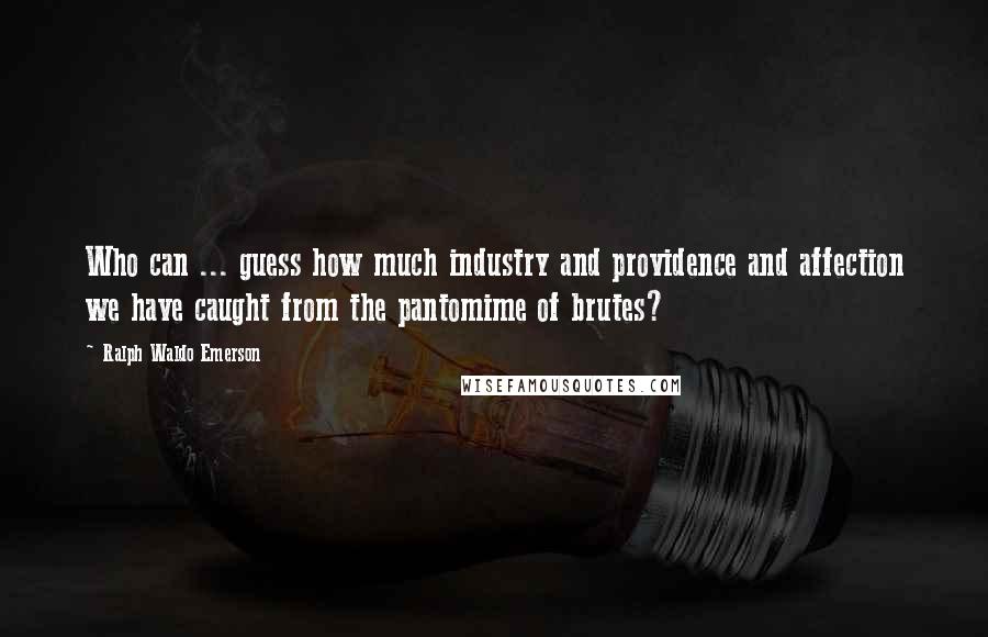 Ralph Waldo Emerson Quotes: Who can ... guess how much industry and providence and affection we have caught from the pantomime of brutes?