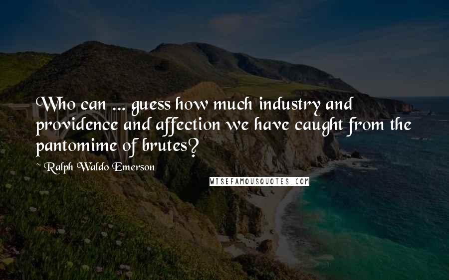 Ralph Waldo Emerson Quotes: Who can ... guess how much industry and providence and affection we have caught from the pantomime of brutes?