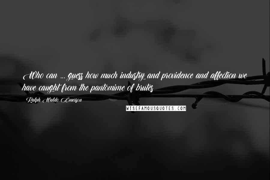 Ralph Waldo Emerson Quotes: Who can ... guess how much industry and providence and affection we have caught from the pantomime of brutes?