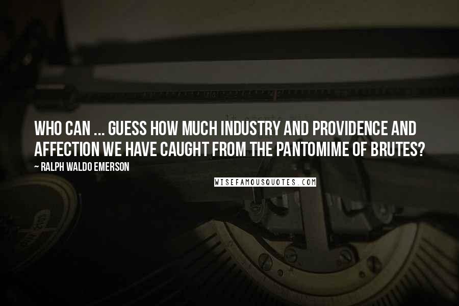 Ralph Waldo Emerson Quotes: Who can ... guess how much industry and providence and affection we have caught from the pantomime of brutes?