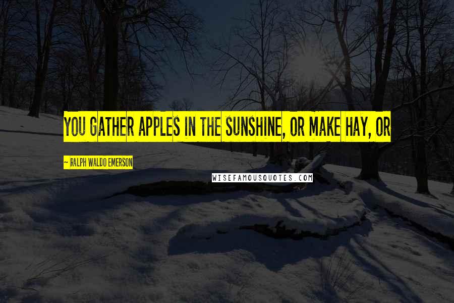 Ralph Waldo Emerson Quotes: You gather apples in the sunshine, or make hay, or