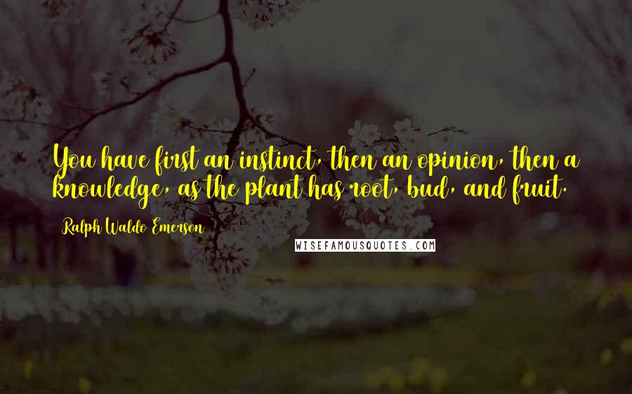 Ralph Waldo Emerson Quotes: You have first an instinct, then an opinion, then a knowledge, as the plant has root, bud, and fruit.