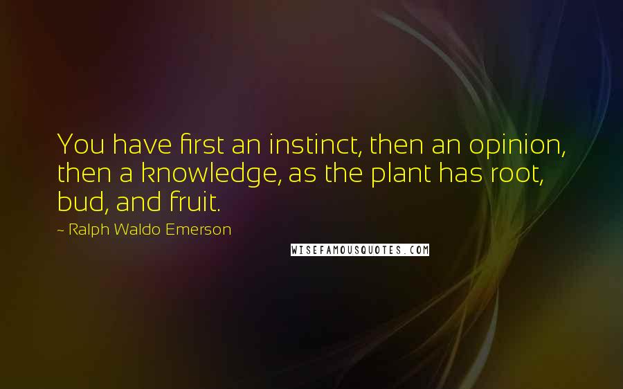 Ralph Waldo Emerson Quotes: You have first an instinct, then an opinion, then a knowledge, as the plant has root, bud, and fruit.