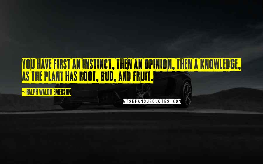 Ralph Waldo Emerson Quotes: You have first an instinct, then an opinion, then a knowledge, as the plant has root, bud, and fruit.