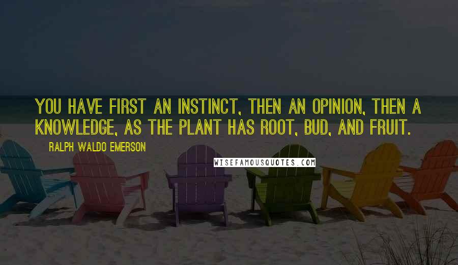 Ralph Waldo Emerson Quotes: You have first an instinct, then an opinion, then a knowledge, as the plant has root, bud, and fruit.