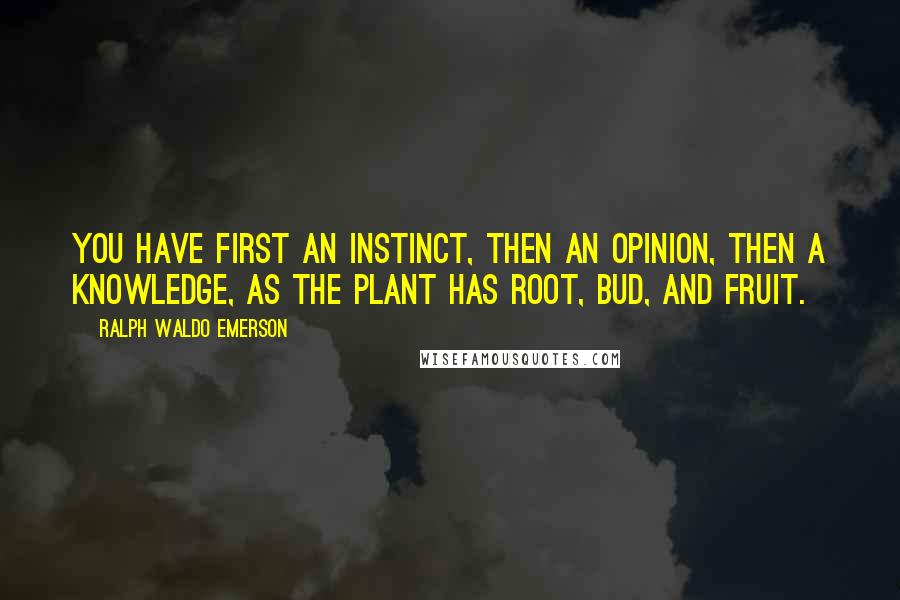 Ralph Waldo Emerson Quotes: You have first an instinct, then an opinion, then a knowledge, as the plant has root, bud, and fruit.