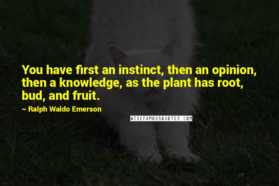 Ralph Waldo Emerson Quotes: You have first an instinct, then an opinion, then a knowledge, as the plant has root, bud, and fruit.