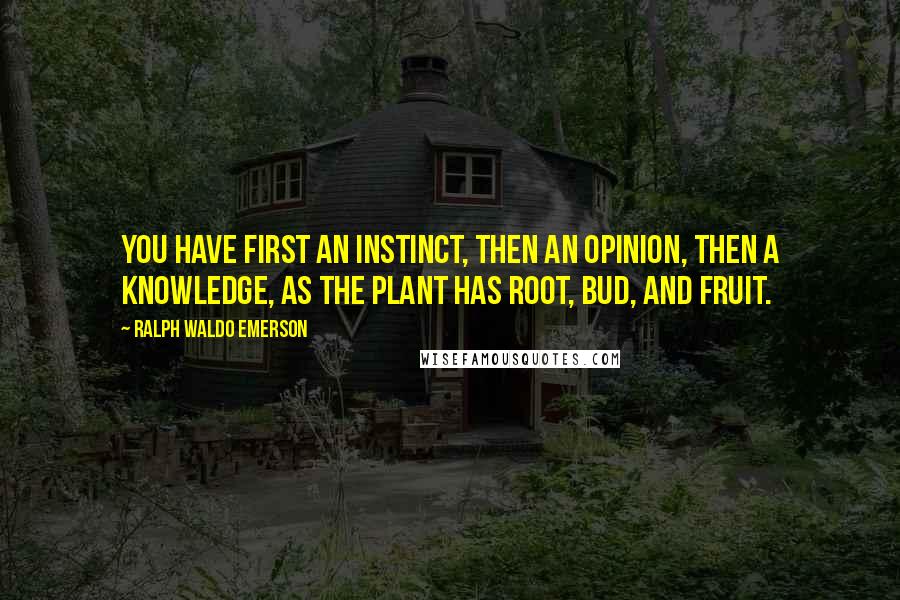 Ralph Waldo Emerson Quotes: You have first an instinct, then an opinion, then a knowledge, as the plant has root, bud, and fruit.