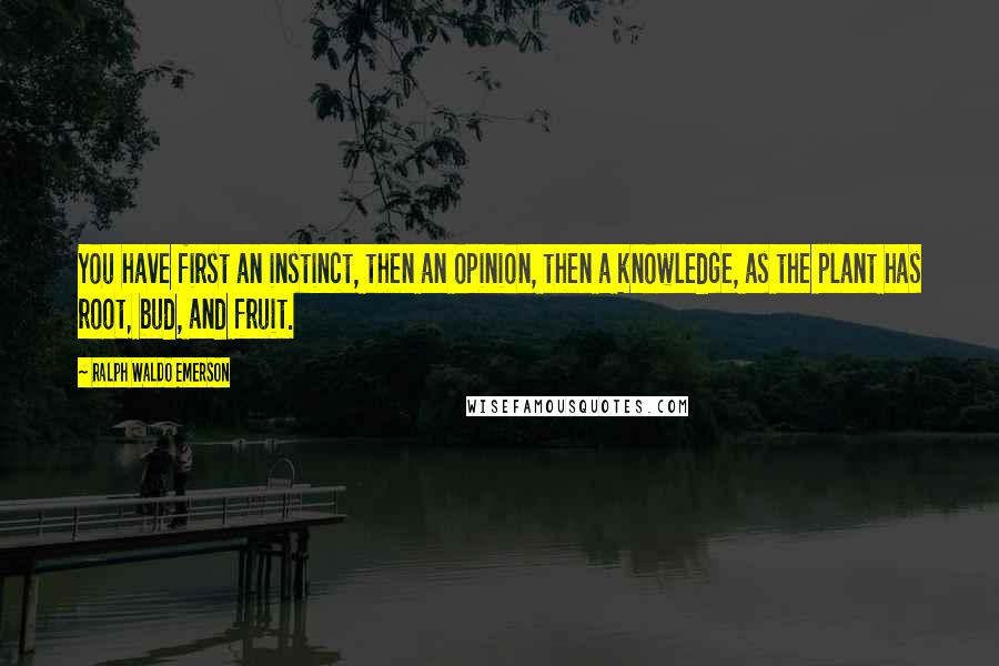 Ralph Waldo Emerson Quotes: You have first an instinct, then an opinion, then a knowledge, as the plant has root, bud, and fruit.