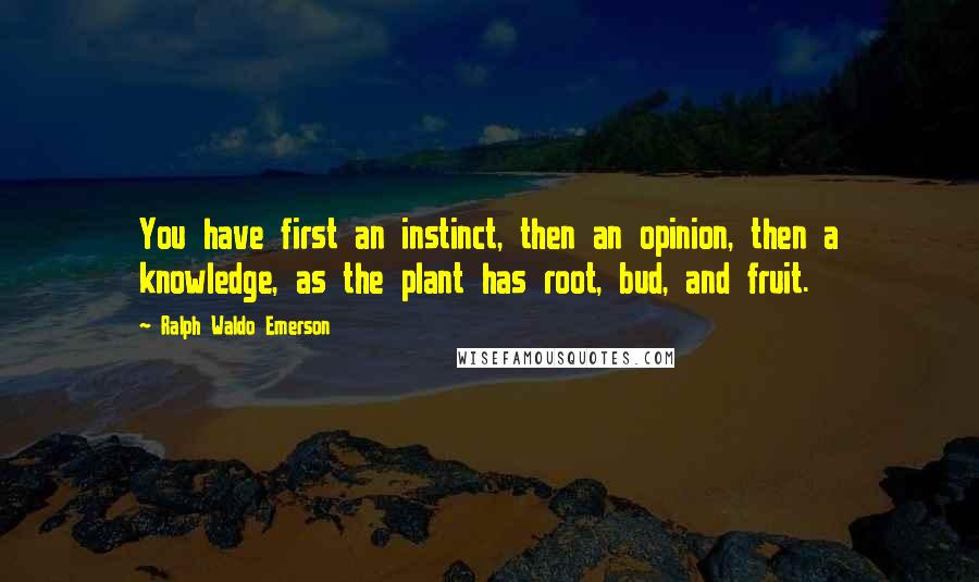 Ralph Waldo Emerson Quotes: You have first an instinct, then an opinion, then a knowledge, as the plant has root, bud, and fruit.