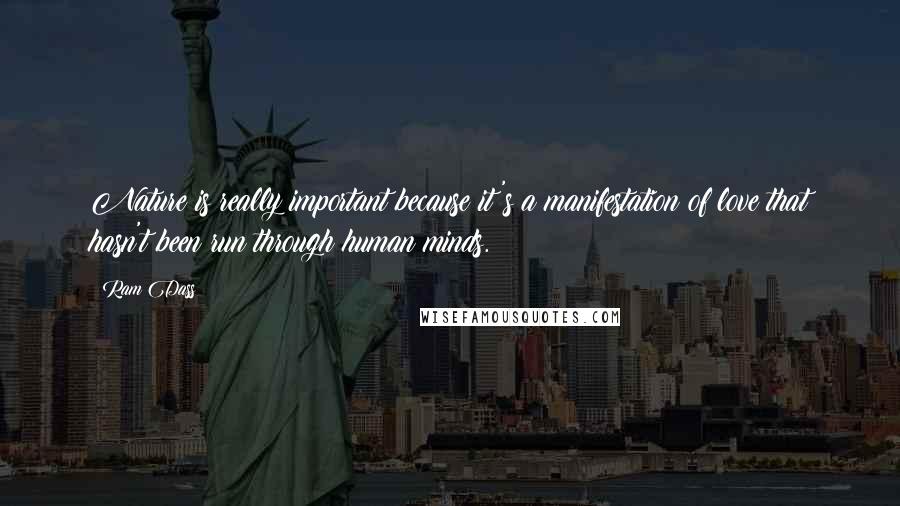 Ram Dass Quotes: Nature is really important because it's a manifestation of love that hasn't been run through human minds.