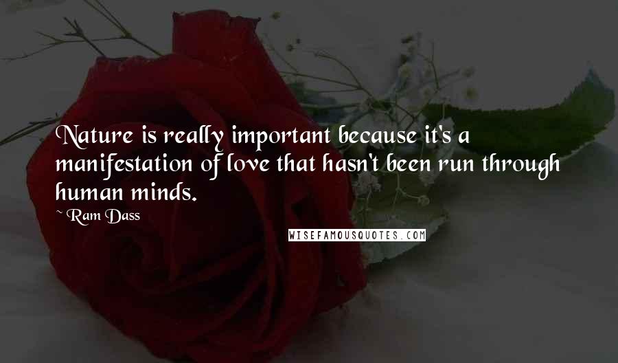 Ram Dass Quotes: Nature is really important because it's a manifestation of love that hasn't been run through human minds.