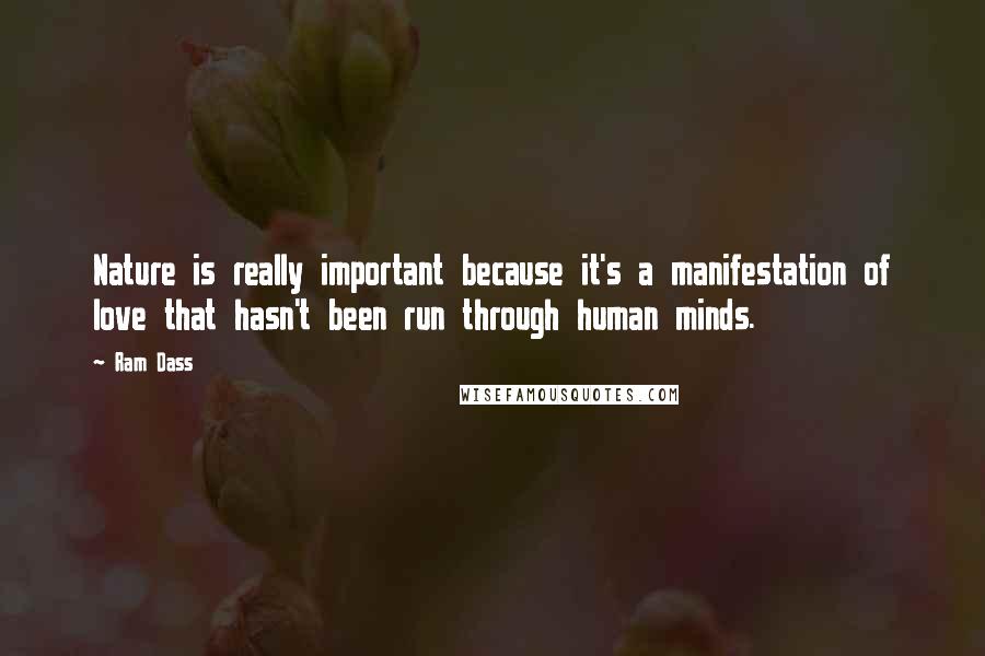 Ram Dass Quotes: Nature is really important because it's a manifestation of love that hasn't been run through human minds.