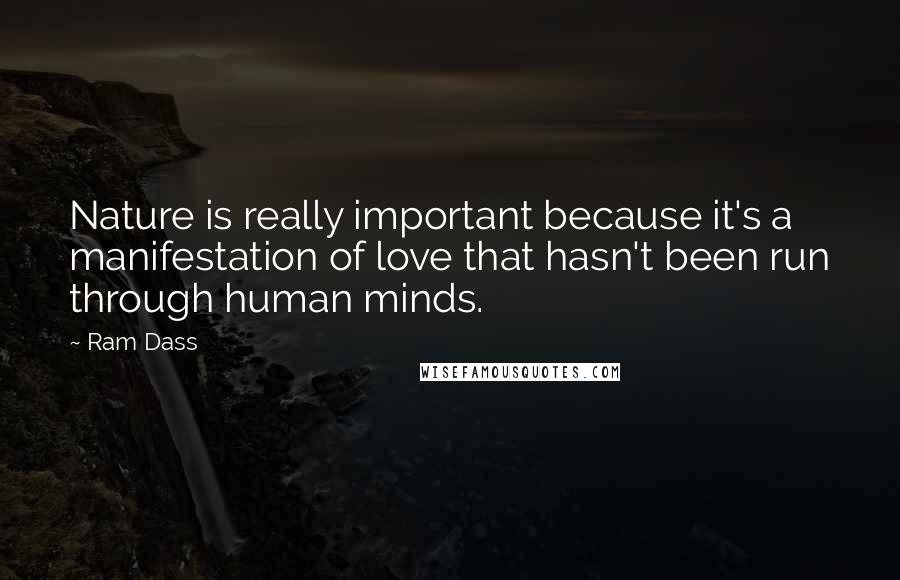 Ram Dass Quotes: Nature is really important because it's a manifestation of love that hasn't been run through human minds.