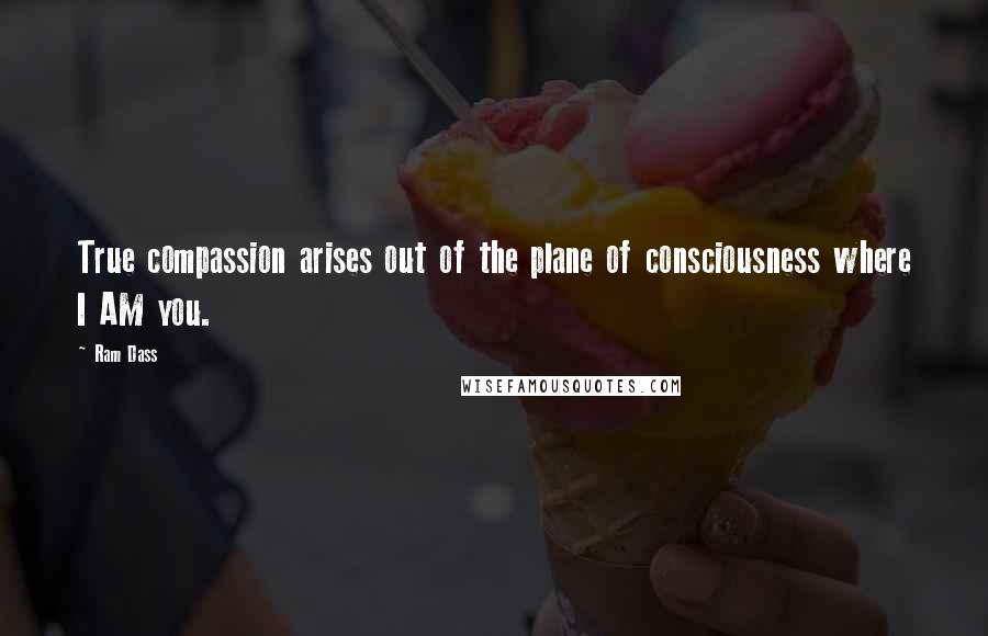 Ram Dass Quotes: True compassion arises out of the plane of consciousness where I AM you.