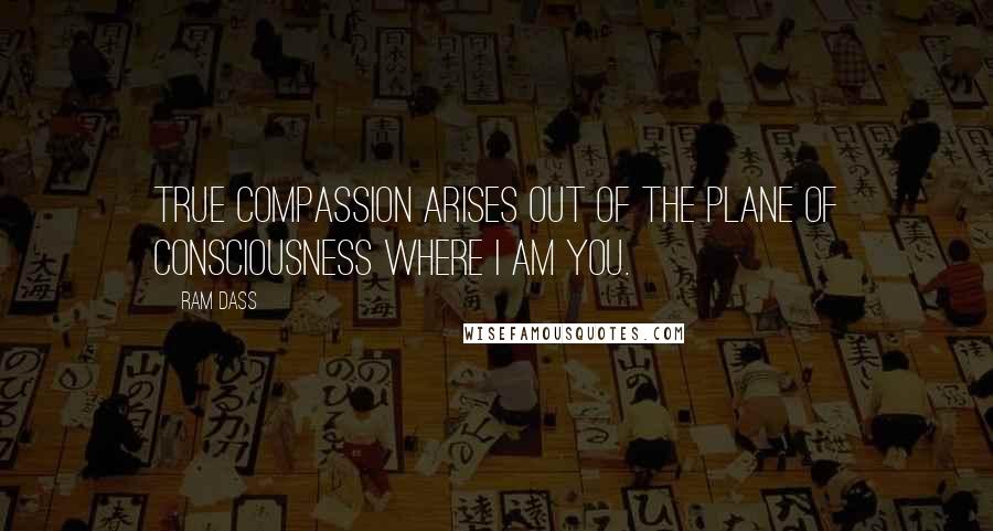 Ram Dass Quotes: True compassion arises out of the plane of consciousness where I AM you.