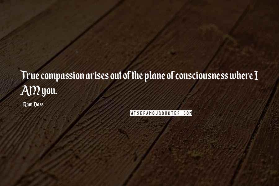 Ram Dass Quotes: True compassion arises out of the plane of consciousness where I AM you.