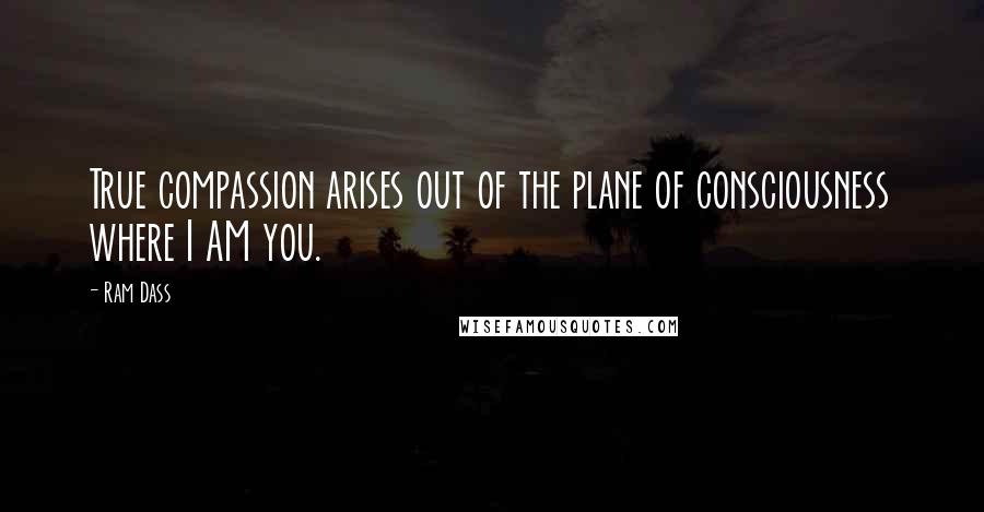 Ram Dass Quotes: True compassion arises out of the plane of consciousness where I AM you.