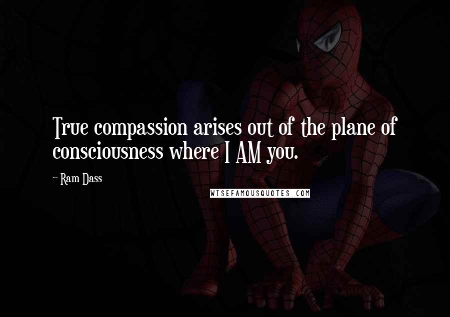 Ram Dass Quotes: True compassion arises out of the plane of consciousness where I AM you.