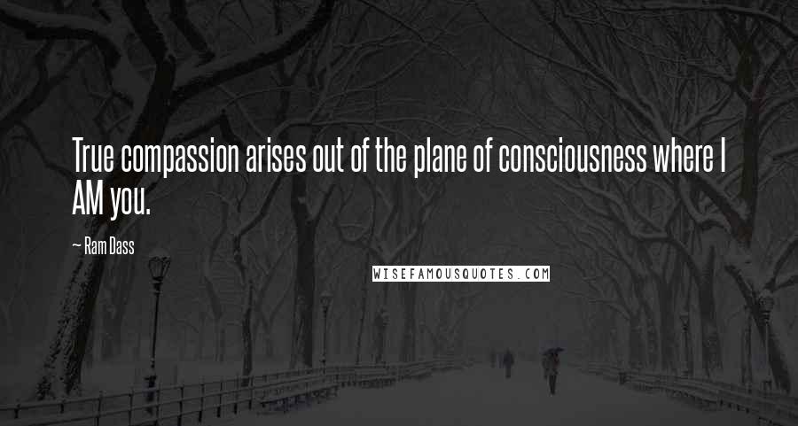 Ram Dass Quotes: True compassion arises out of the plane of consciousness where I AM you.