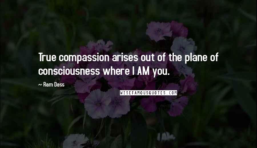 Ram Dass Quotes: True compassion arises out of the plane of consciousness where I AM you.