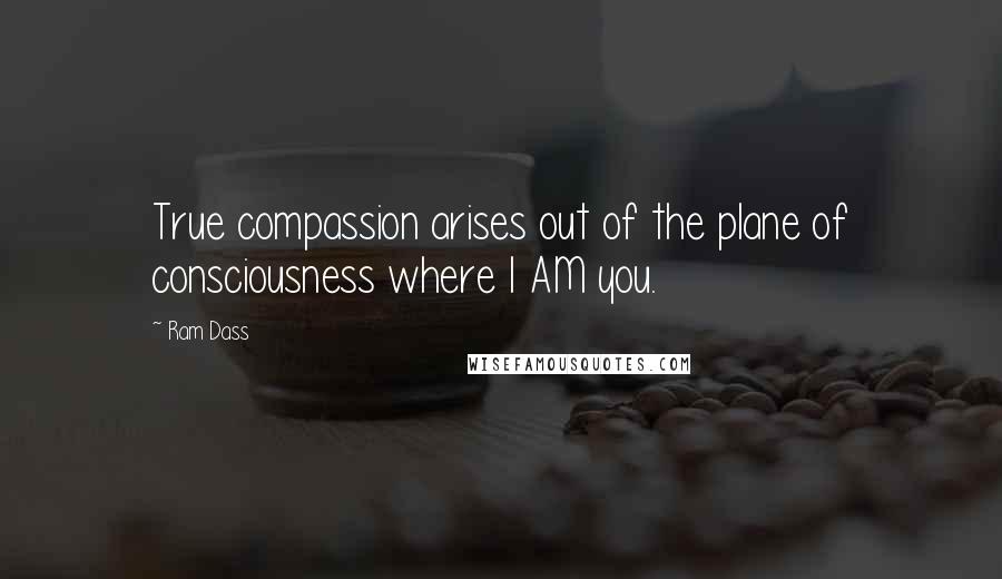 Ram Dass Quotes: True compassion arises out of the plane of consciousness where I AM you.