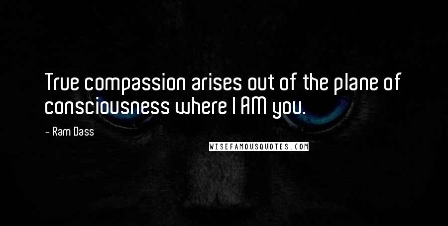 Ram Dass Quotes: True compassion arises out of the plane of consciousness where I AM you.