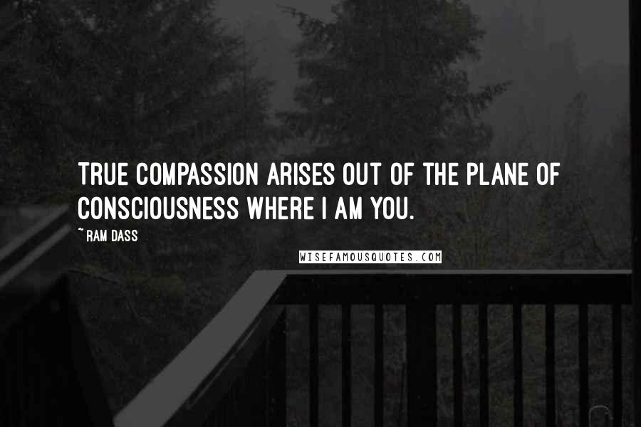 Ram Dass Quotes: True compassion arises out of the plane of consciousness where I AM you.