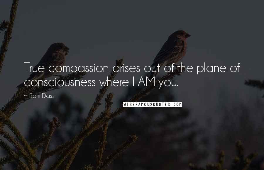 Ram Dass Quotes: True compassion arises out of the plane of consciousness where I AM you.