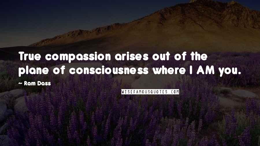 Ram Dass Quotes: True compassion arises out of the plane of consciousness where I AM you.