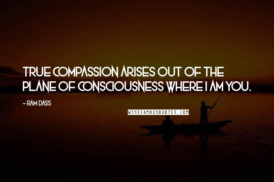 Ram Dass Quotes: True compassion arises out of the plane of consciousness where I AM you.