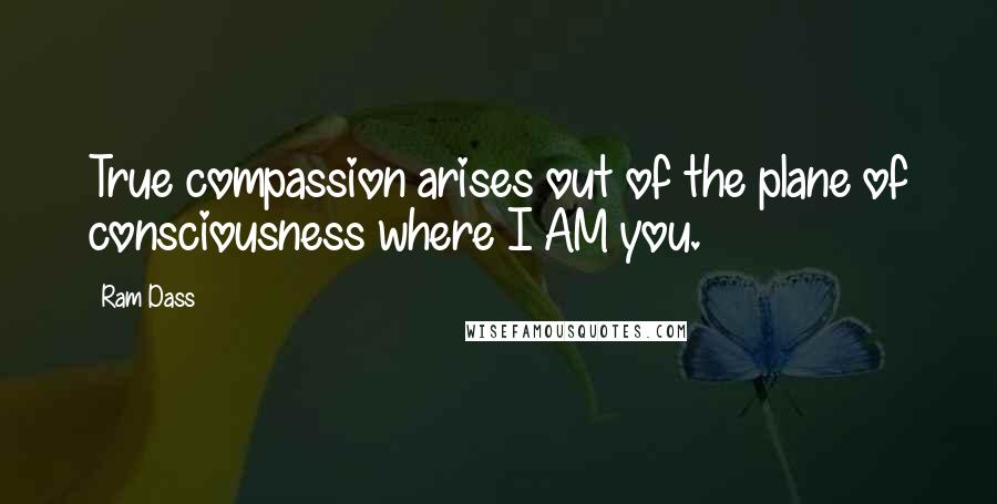 Ram Dass Quotes: True compassion arises out of the plane of consciousness where I AM you.